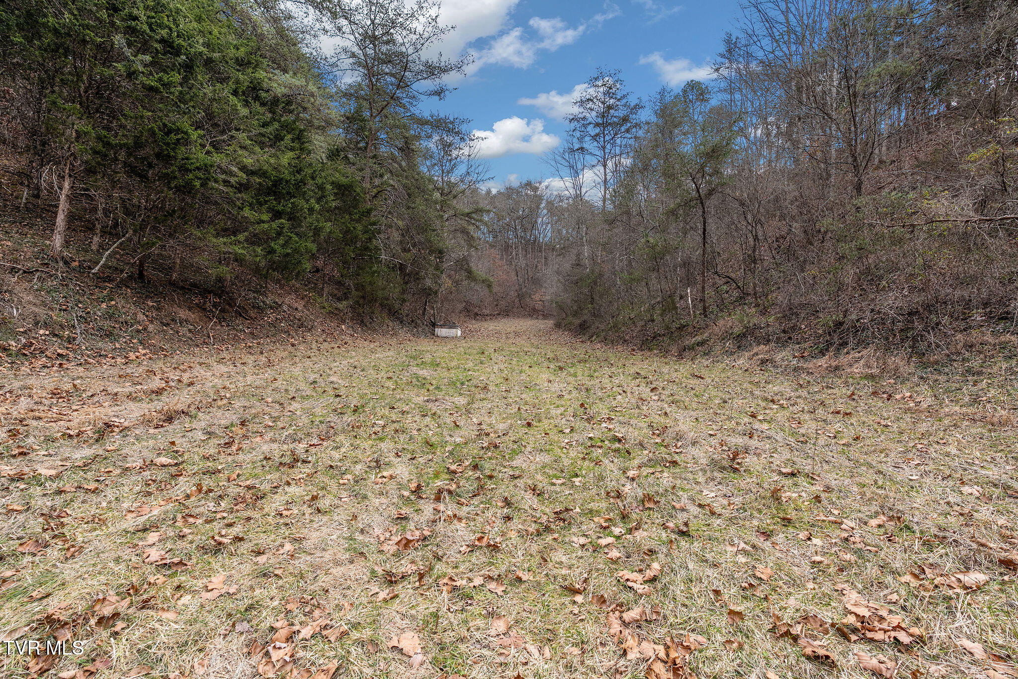 1135 Piney Flats Road Watauga, TN 37694 - Photo 18 of 55 DSC07660