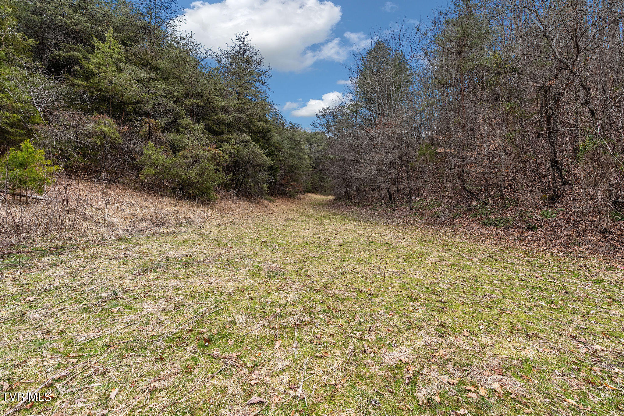 1135 Piney Flats Road Watauga, TN 37694 - Photo 20 of 55 DSC07662