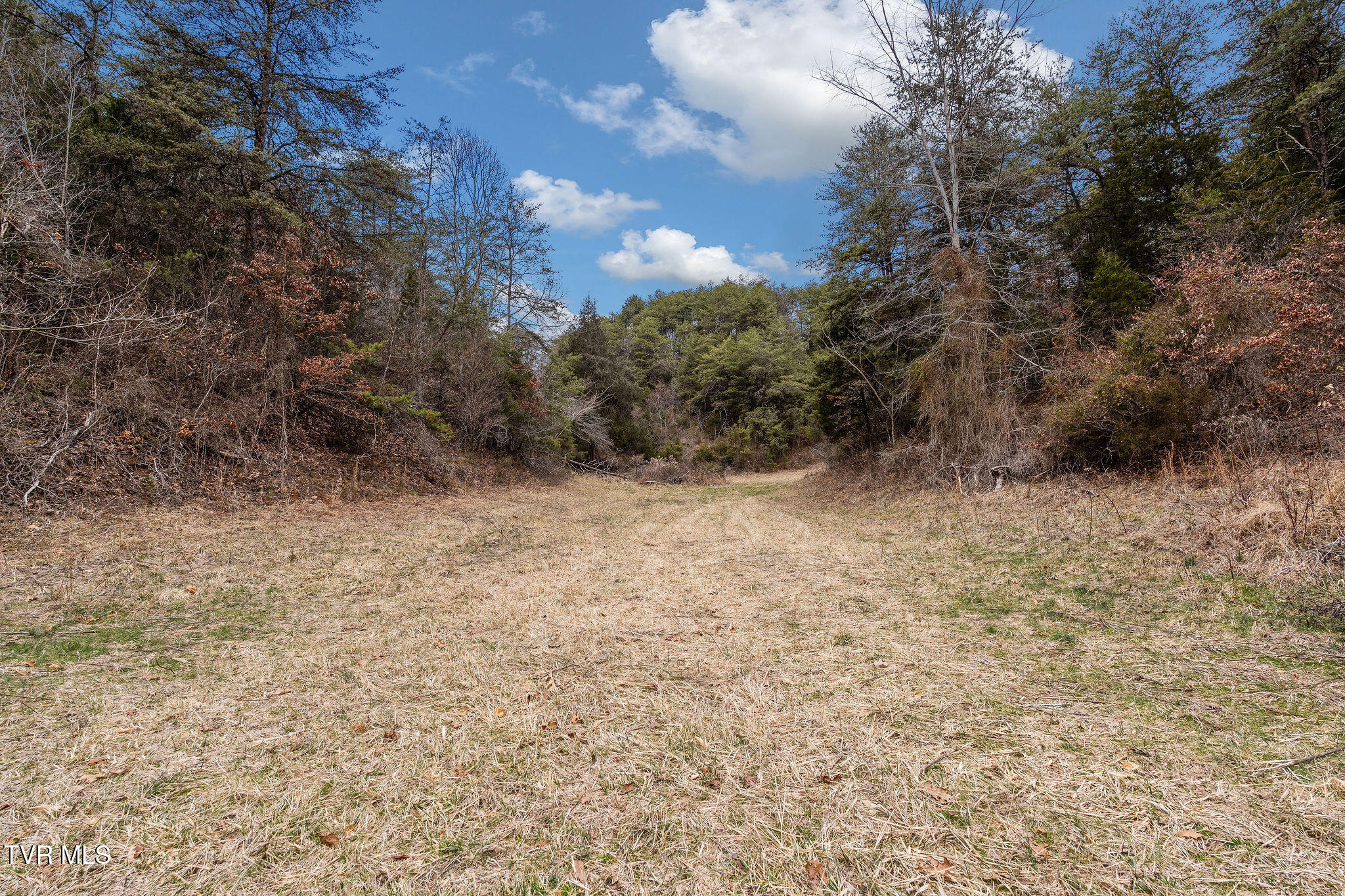 1135 Piney Flats Road Watauga, TN 37694 - Photo 21 of 55 DSC07663