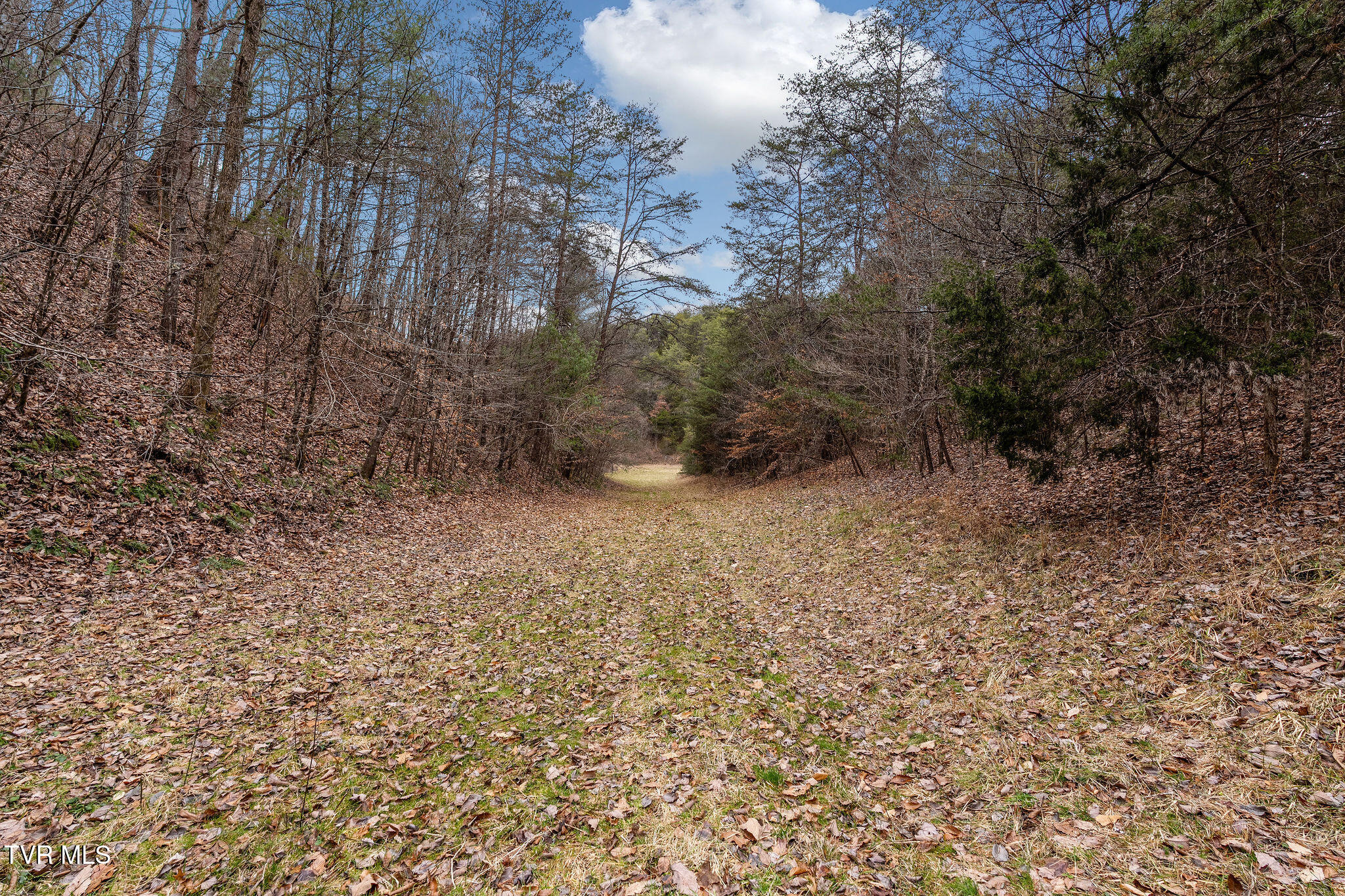 1135 Piney Flats Road Watauga, TN 37694 - Photo 23 of 55 DSC07665