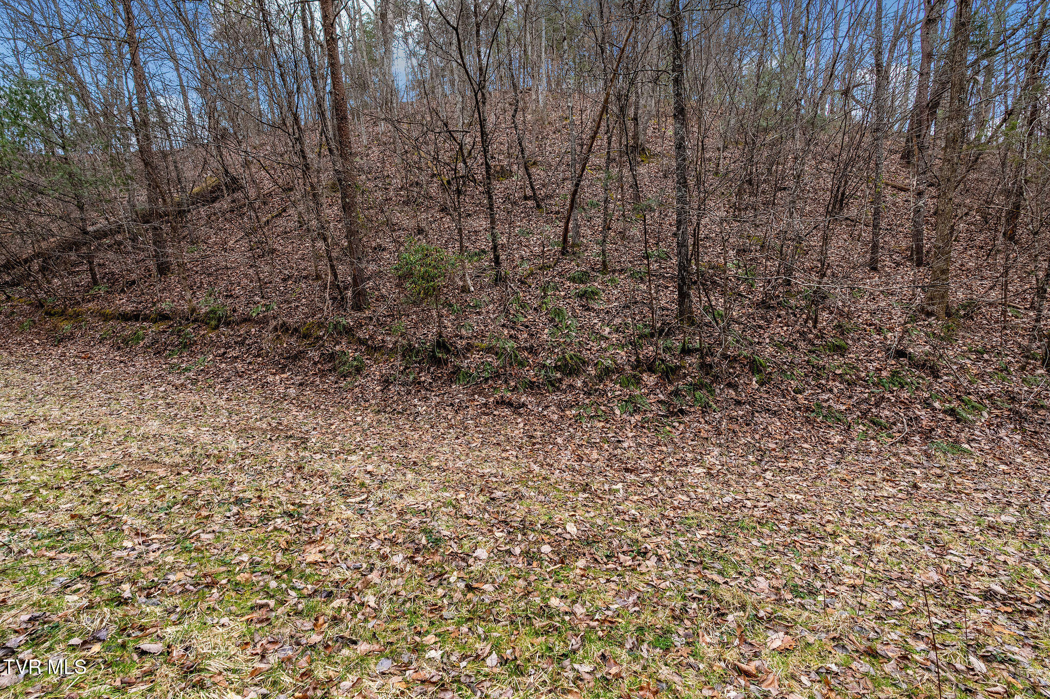 1135 Piney Flats Road Watauga, TN 37694 - Photo 24 of 55 DSC07666