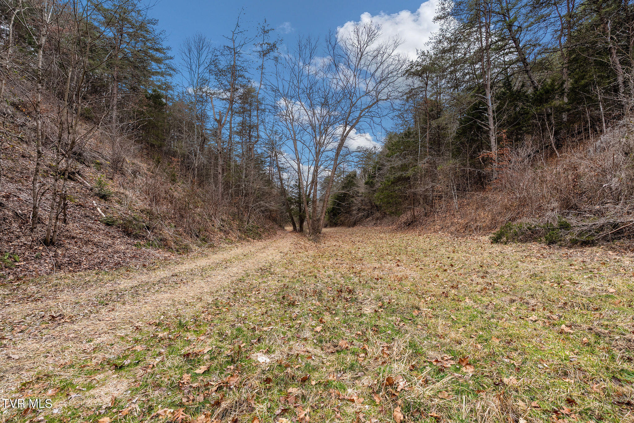 1135 Piney Flats Road Watauga, TN 37694 - Photo 25 of 55 DSC07667