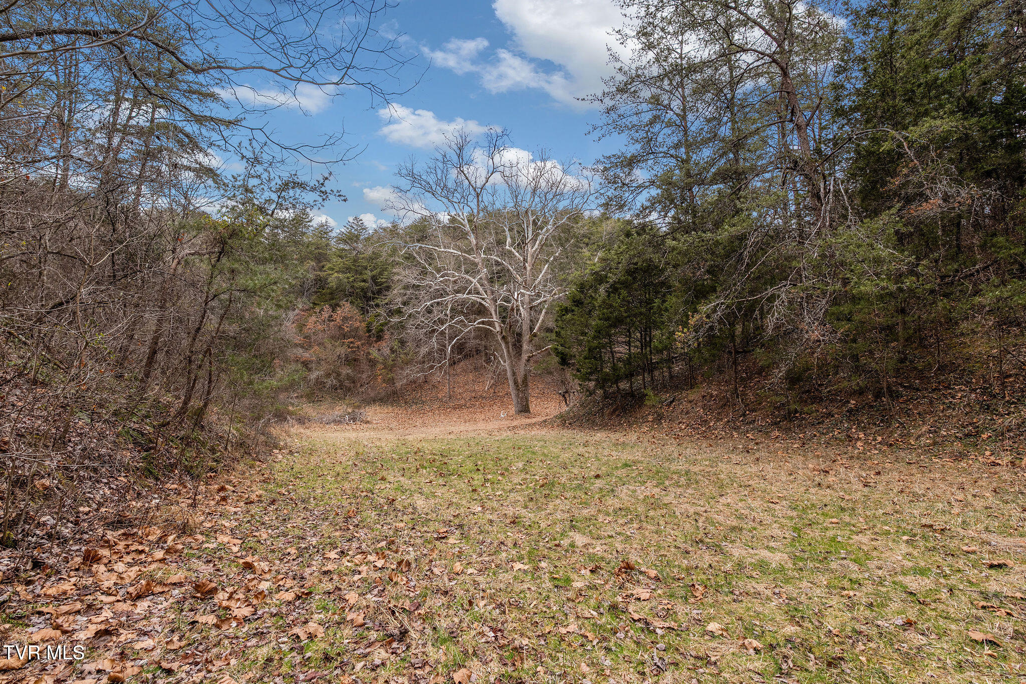 1135 Piney Flats Road Watauga, TN 37694 - Photo 27 of 55 DSC07669