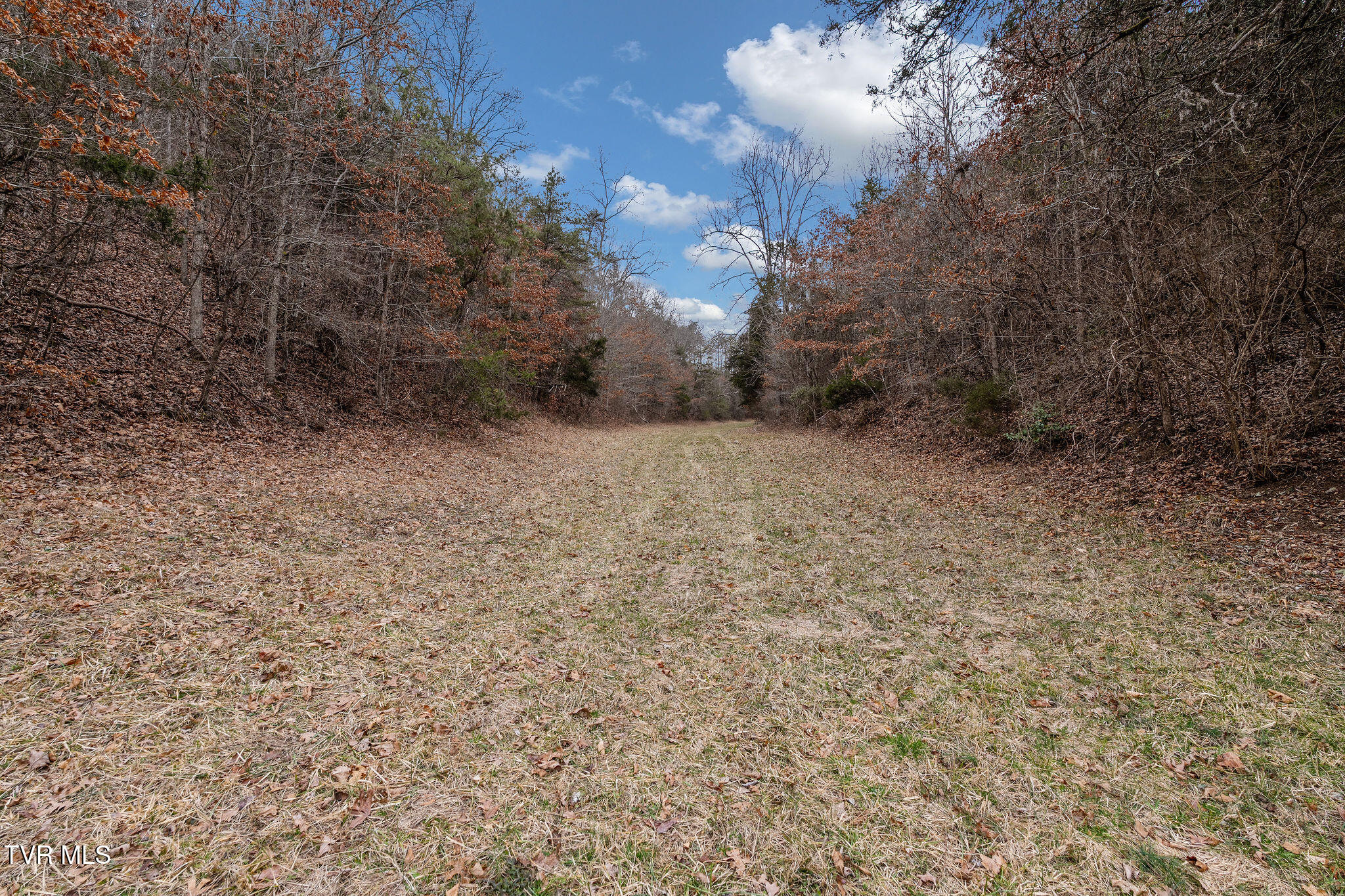 1135 Piney Flats Road Watauga, TN 37694 - Photo 29 of 55 DSC07671