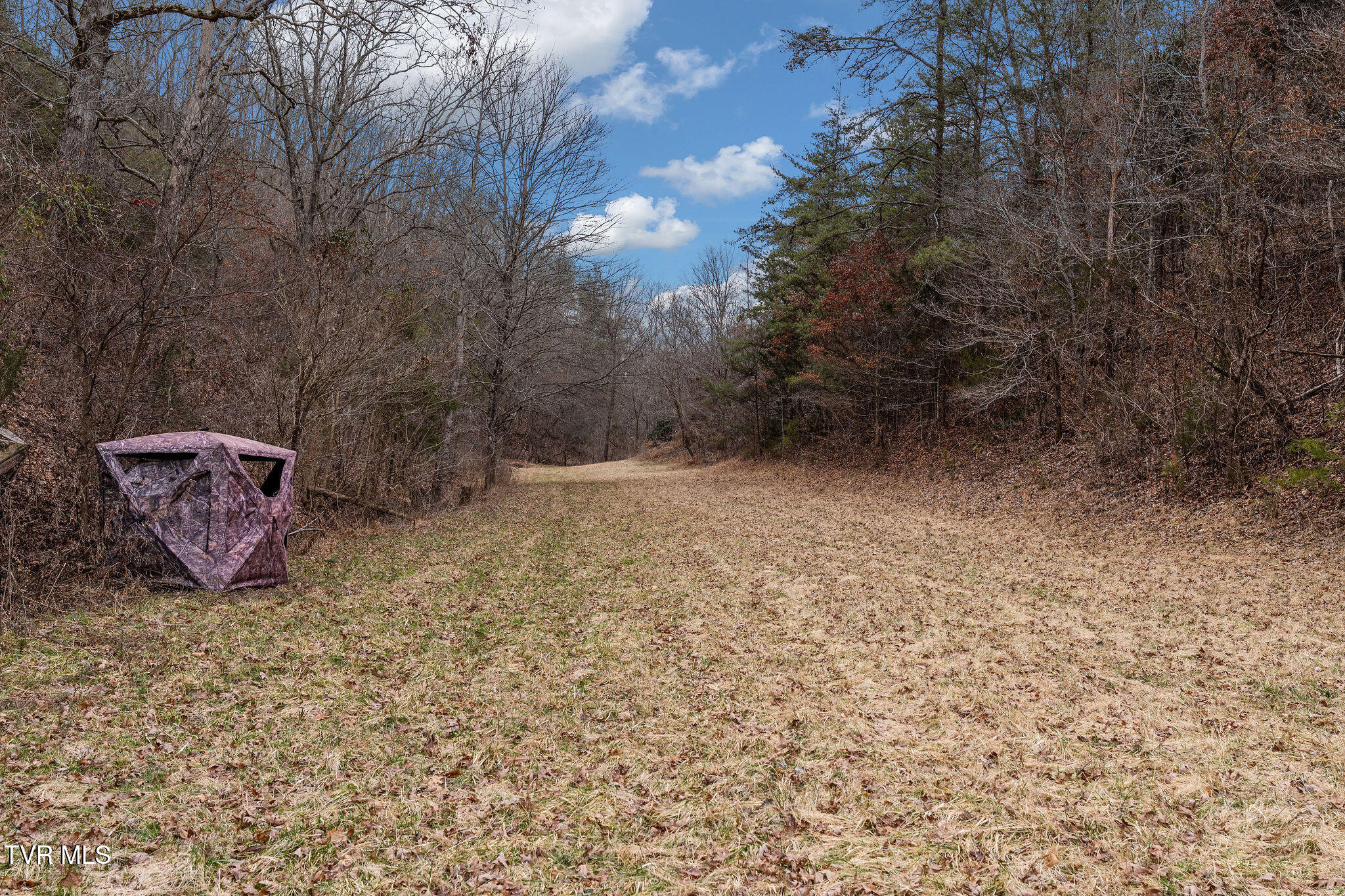 1135 Piney Flats Road Watauga, TN 37694 - Photo 30 of 55 DSC07672