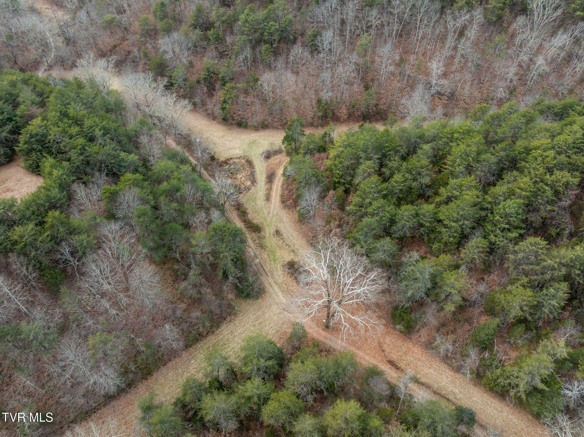1135 Piney Flats Road Watauga, TN 37694 - Photo 3 of 55 DJI_0569