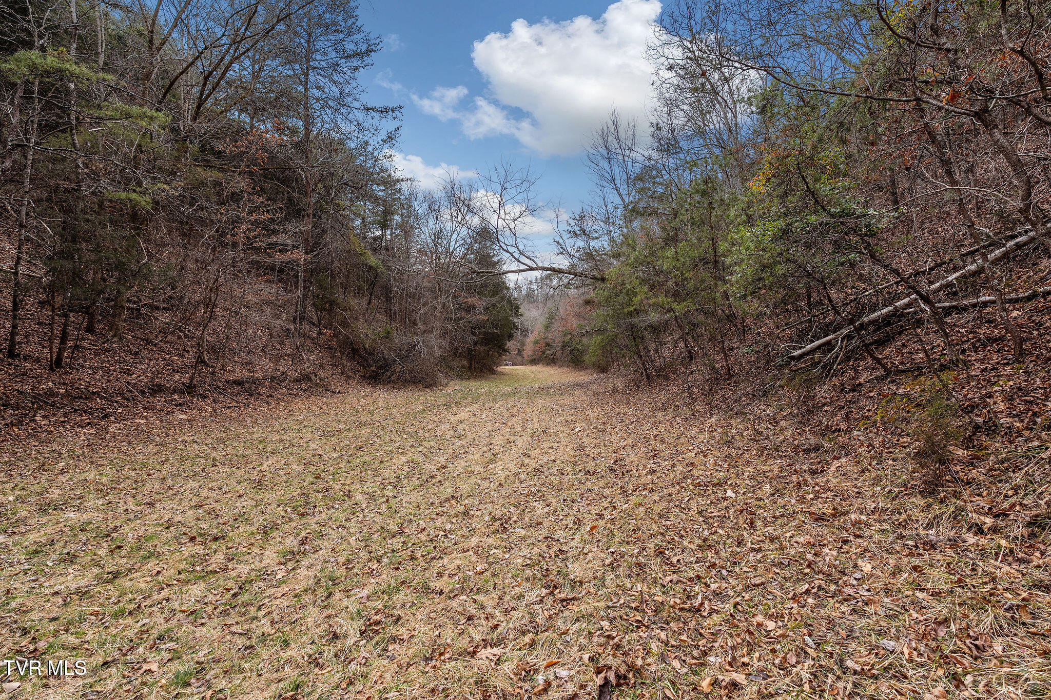 1135 Piney Flats Road Watauga, TN 37694 - Photo 31 of 55 DSC07673