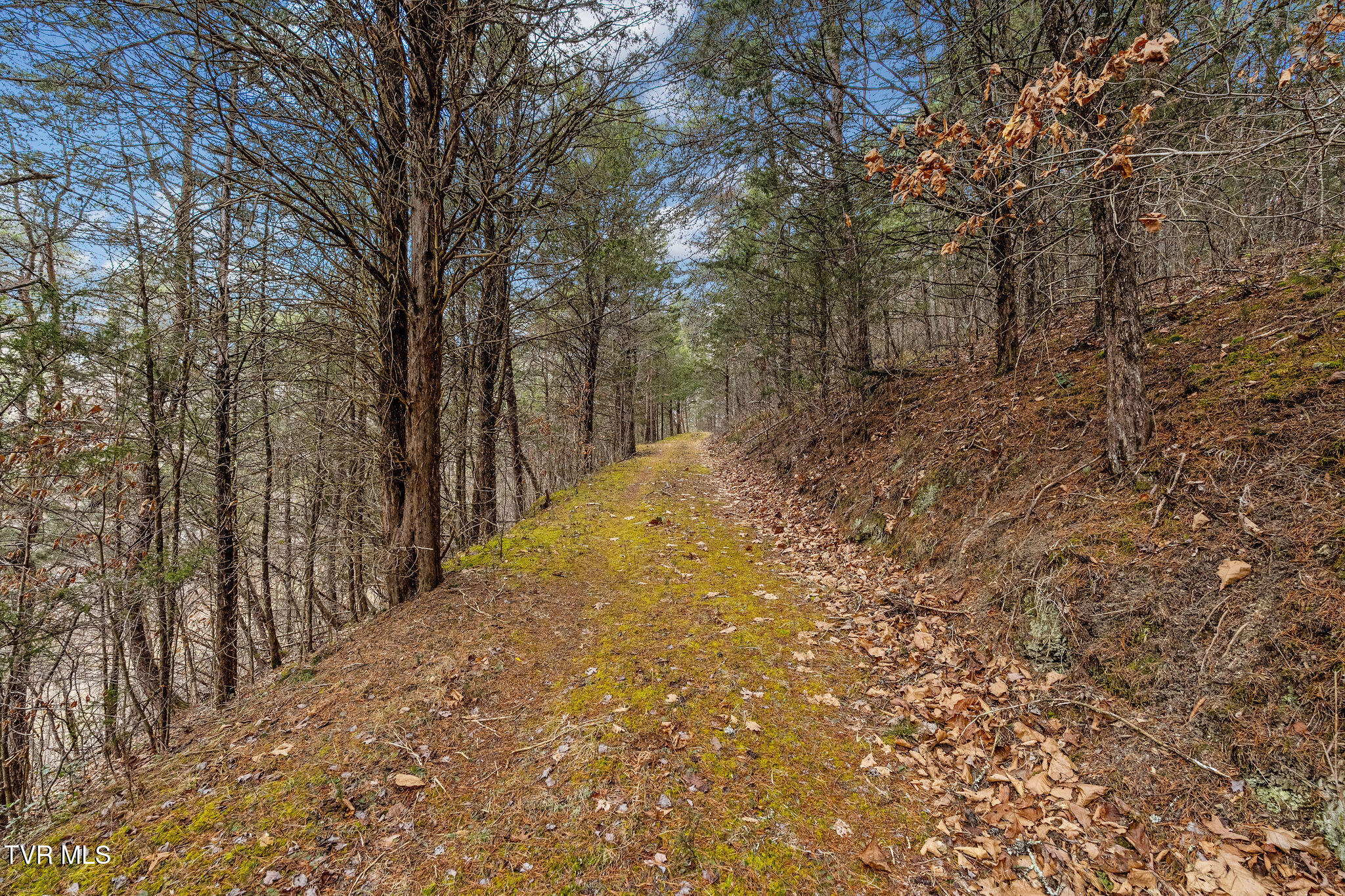 1135 Piney Flats Road Watauga, TN 37694 - Photo 32 of 55 DSC07674