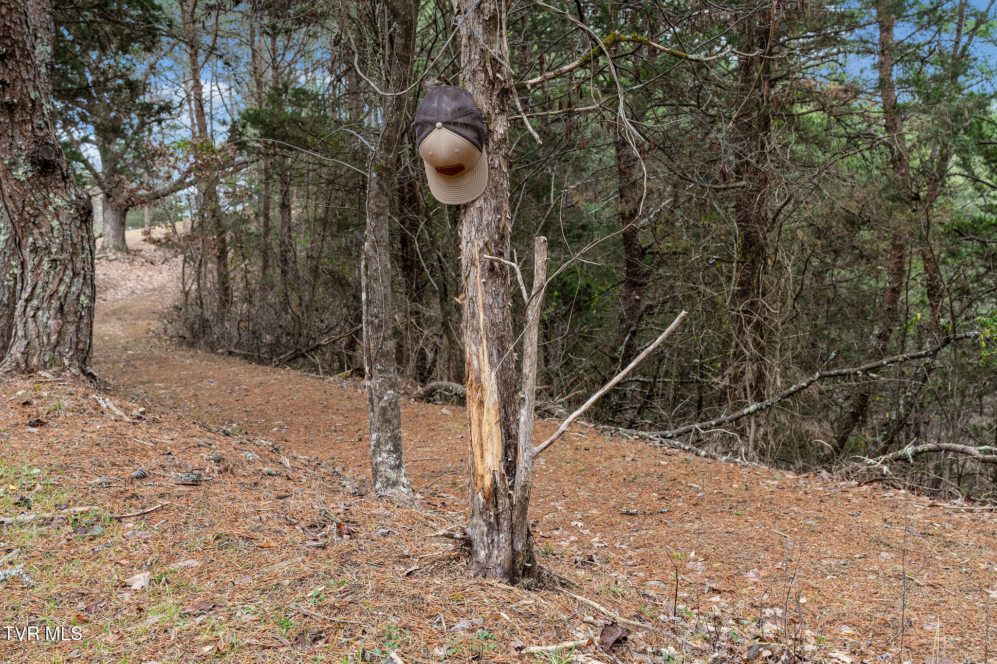 1135 Piney Flats Road Watauga, TN 37694 - Photo 35 of 55 DSC07677