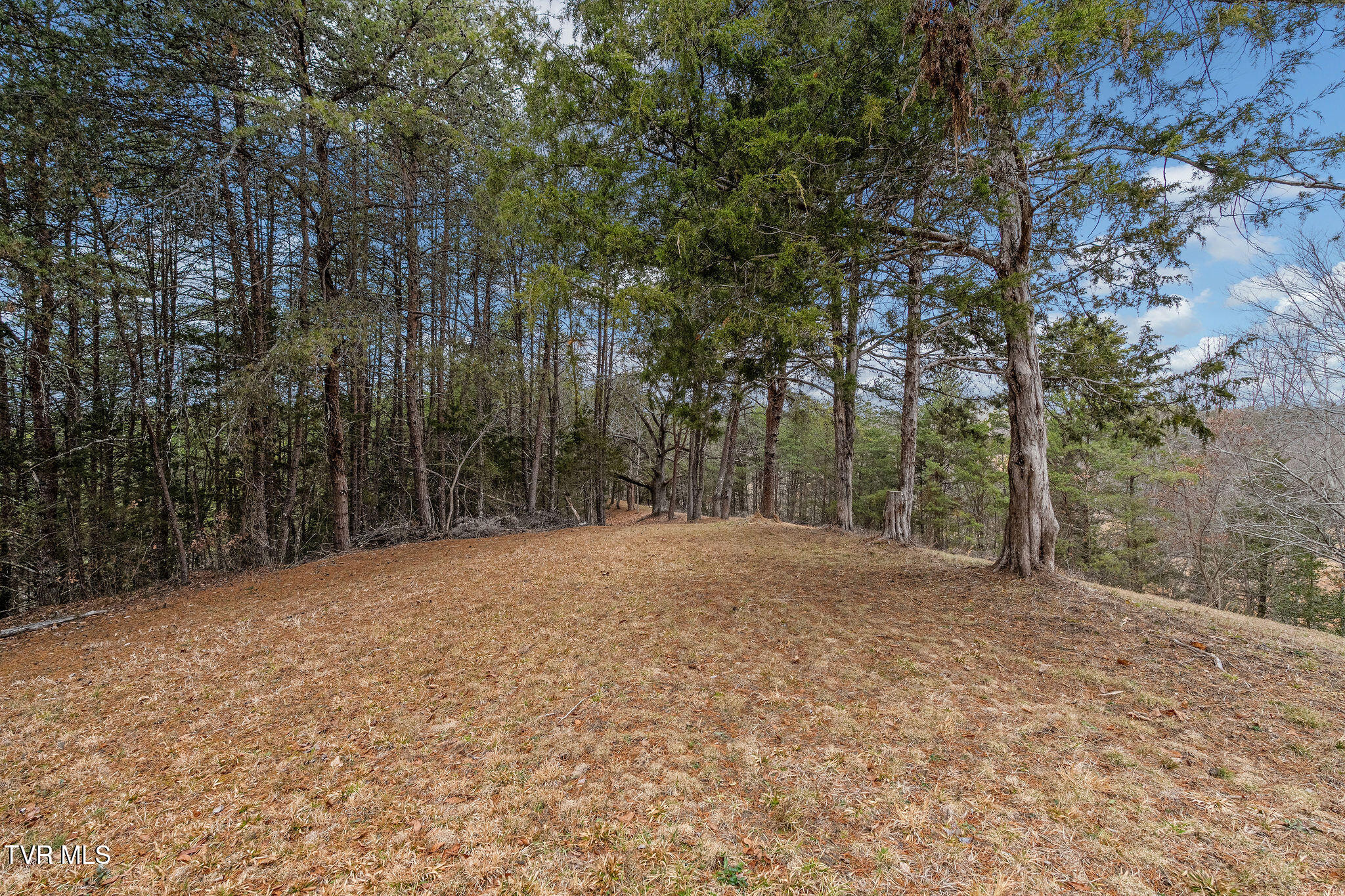 1135 Piney Flats Road Watauga, TN 37694 - Photo 36 of 55 DSC07678