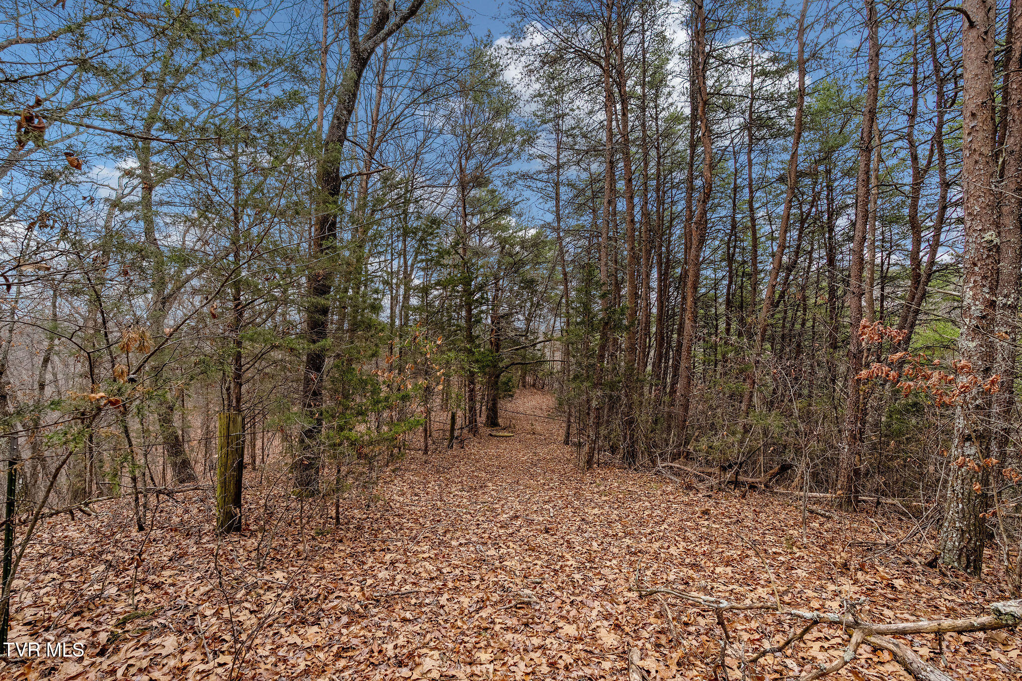 1135 Piney Flats Road Watauga, TN 37694 - Photo 37 of 55 DSC07679