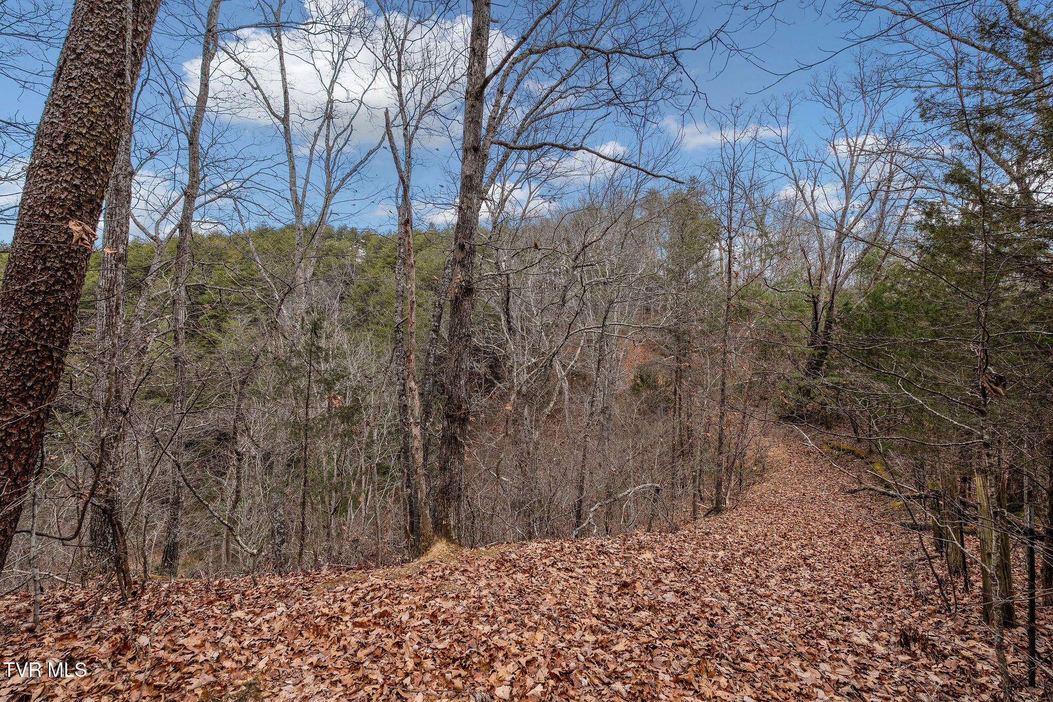 1135 Piney Flats Road Watauga, TN 37694 - Photo 39 of 55 DSC07681