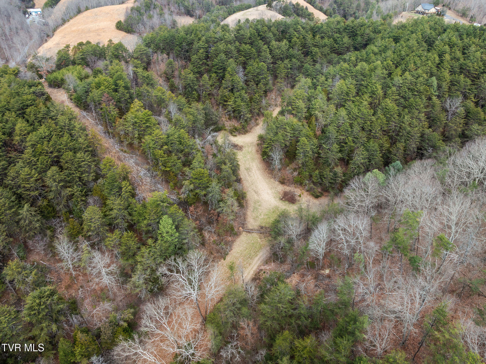 1135 Piney Flats Road Watauga, TN 37694 - Photo 4 of 55 DJI_0574