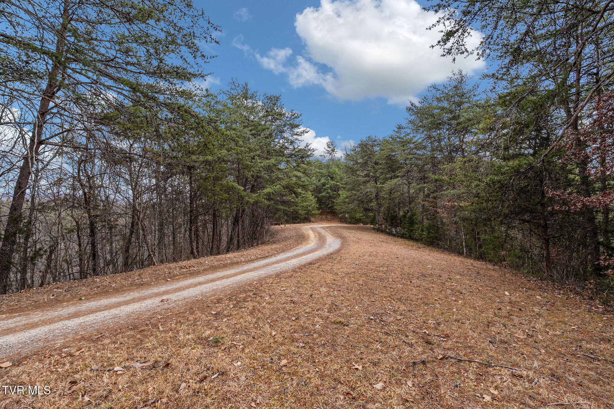 1135 Piney Flats Road Watauga, TN 37694 - Photo 42 of 55 DSC07684