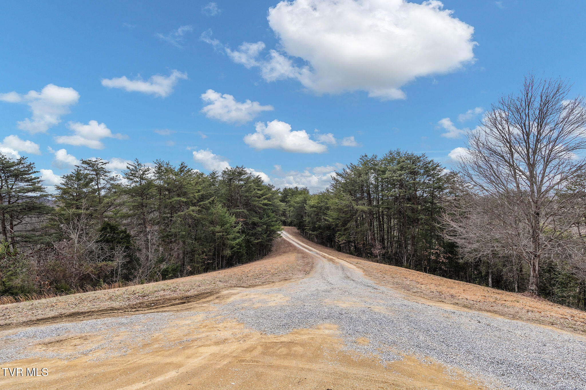 1135 Piney Flats Road Watauga, TN 37694 - Photo 44 of 55 DSC07686