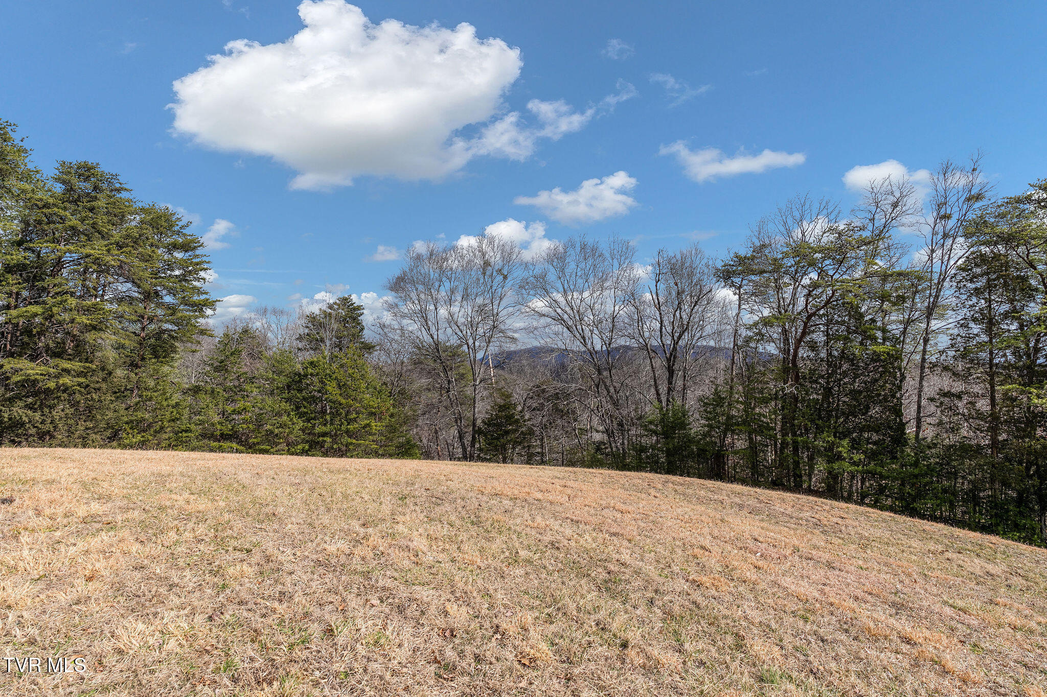 1135 Piney Flats Road Watauga, TN 37694 - Photo 45 of 55 DSC07687