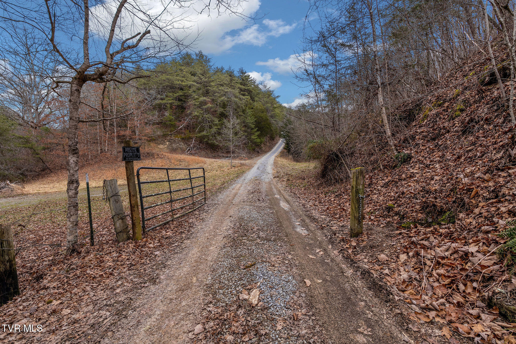 1135 Piney Flats Road Watauga, TN 37694 - Photo 47 of 55 DSC07700