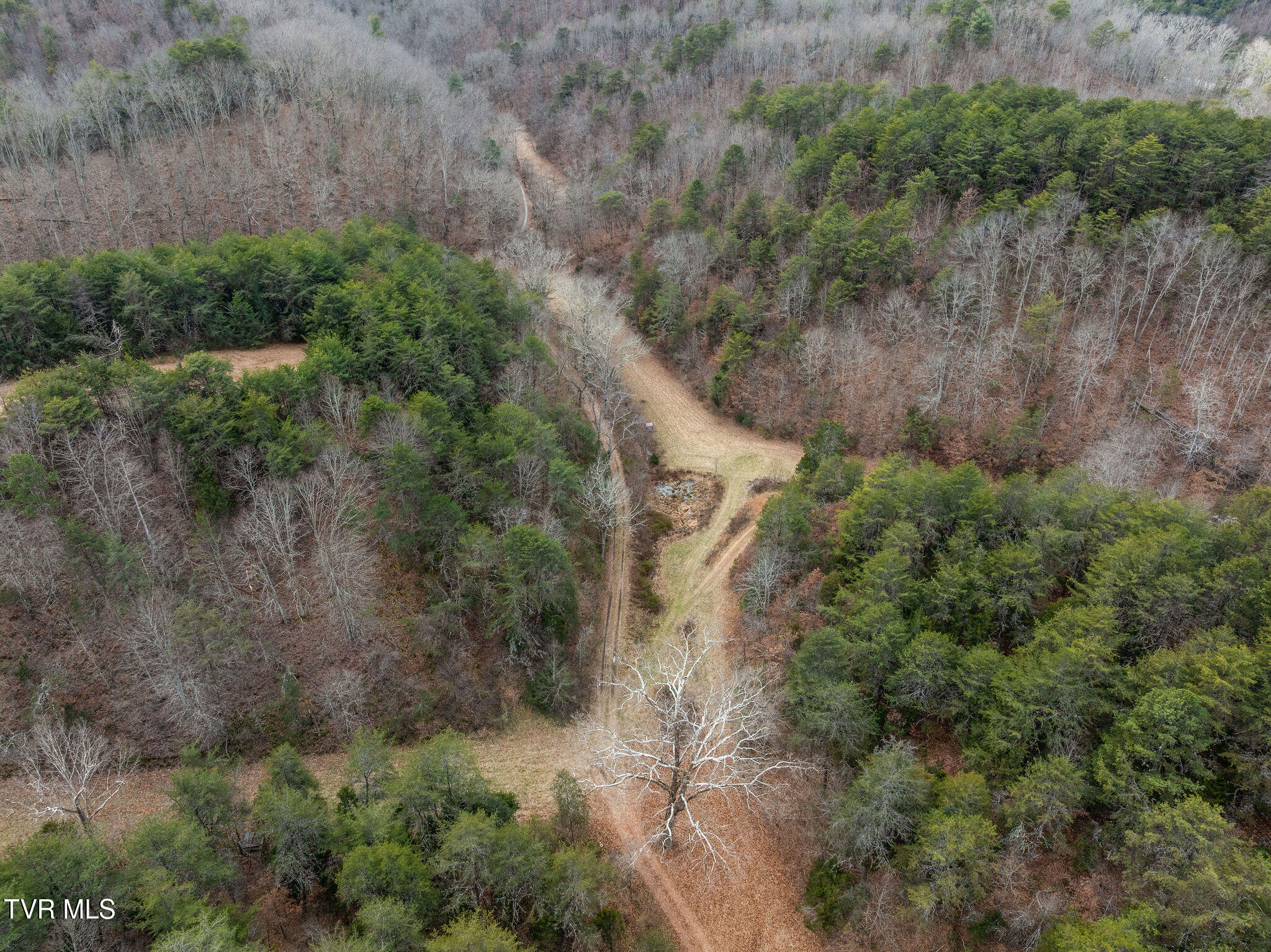 1135 Piney Flats Road Watauga, TN 37694 - Photo 5 of 55 DJI_0579