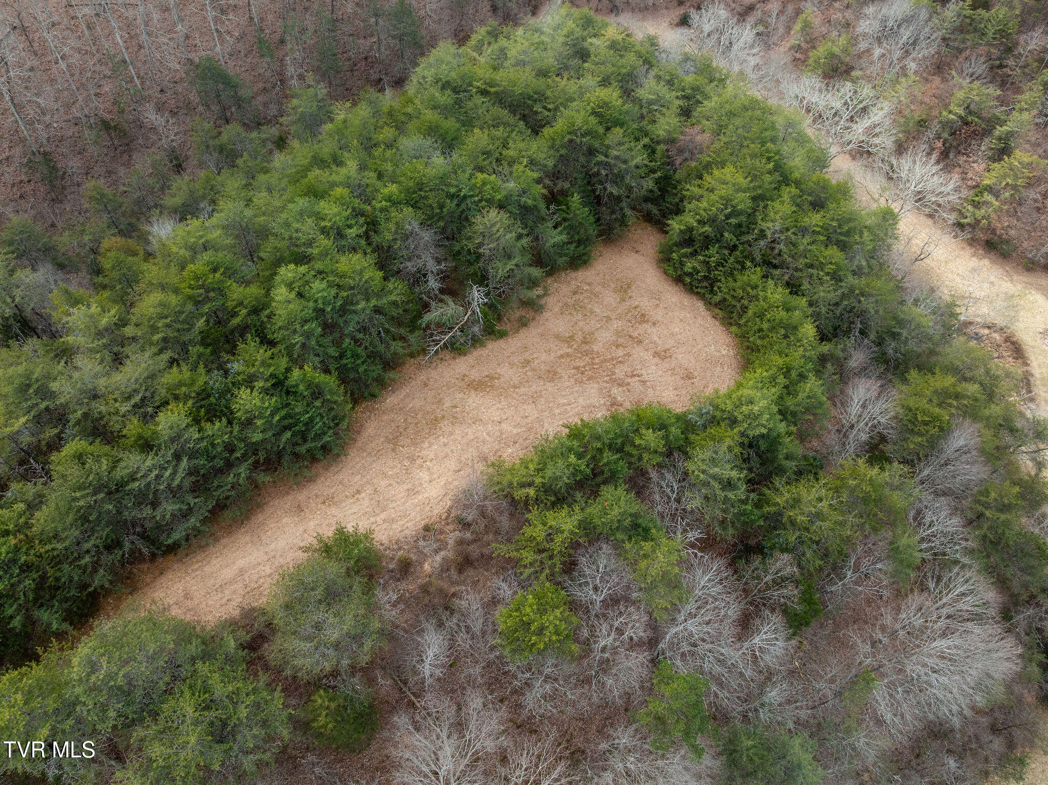 1135 Piney Flats Road Watauga, TN 37694 - Photo 6 of 55 DJI_0584