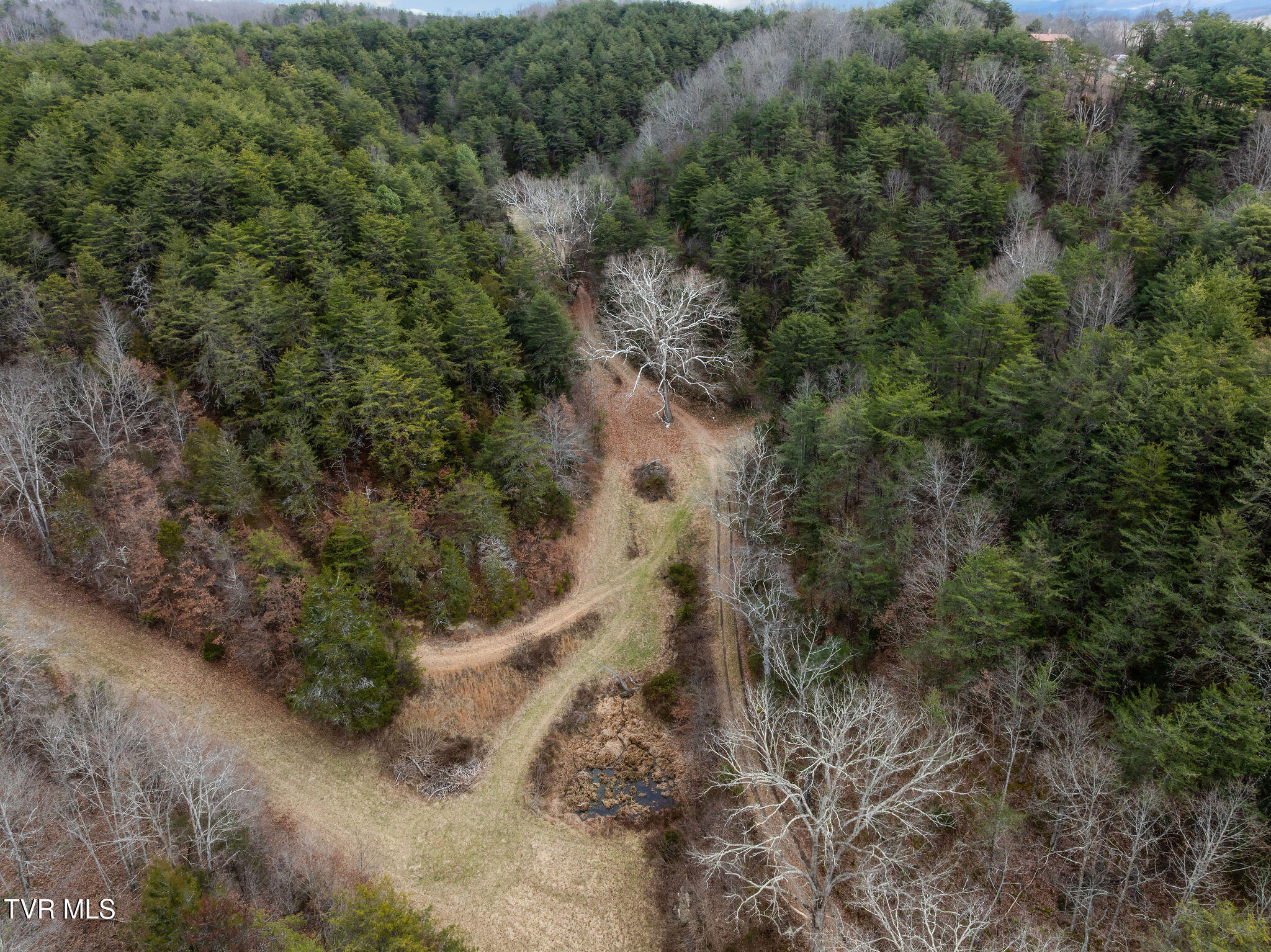 1135 Piney Flats Road Watauga, TN 37694 - Photo 8 of 55 DJI_0592