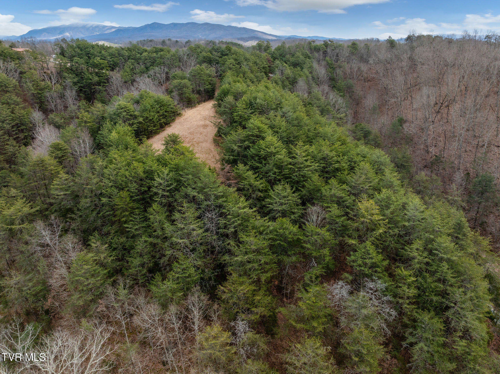 1135 Piney Flats Road Watauga, TN 37694 - Photo 9 of 55 DJI_0597