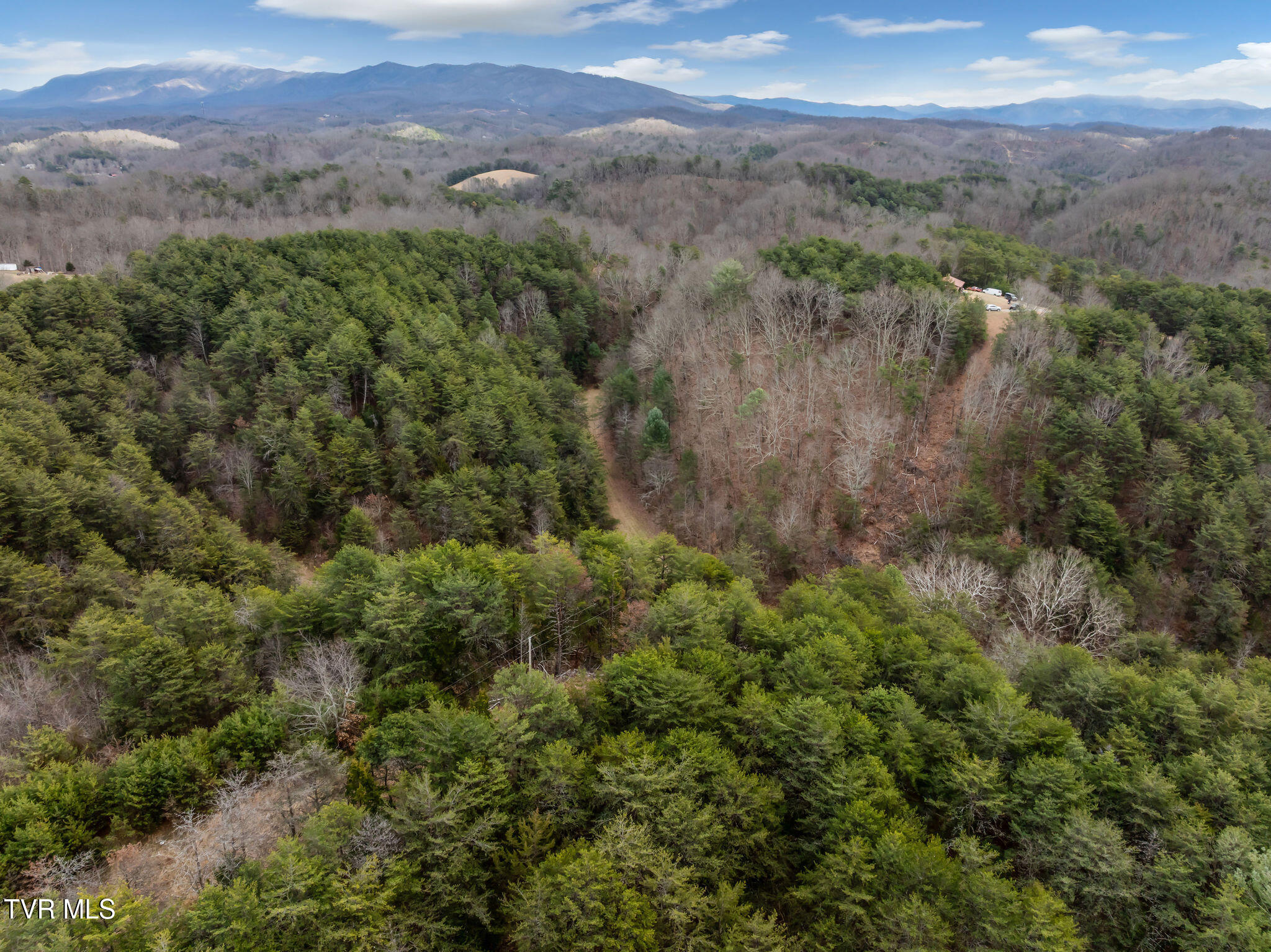1135 Piney Flats Road Watauga, TN 37694 - Photo 10 of 55 DJI_0602