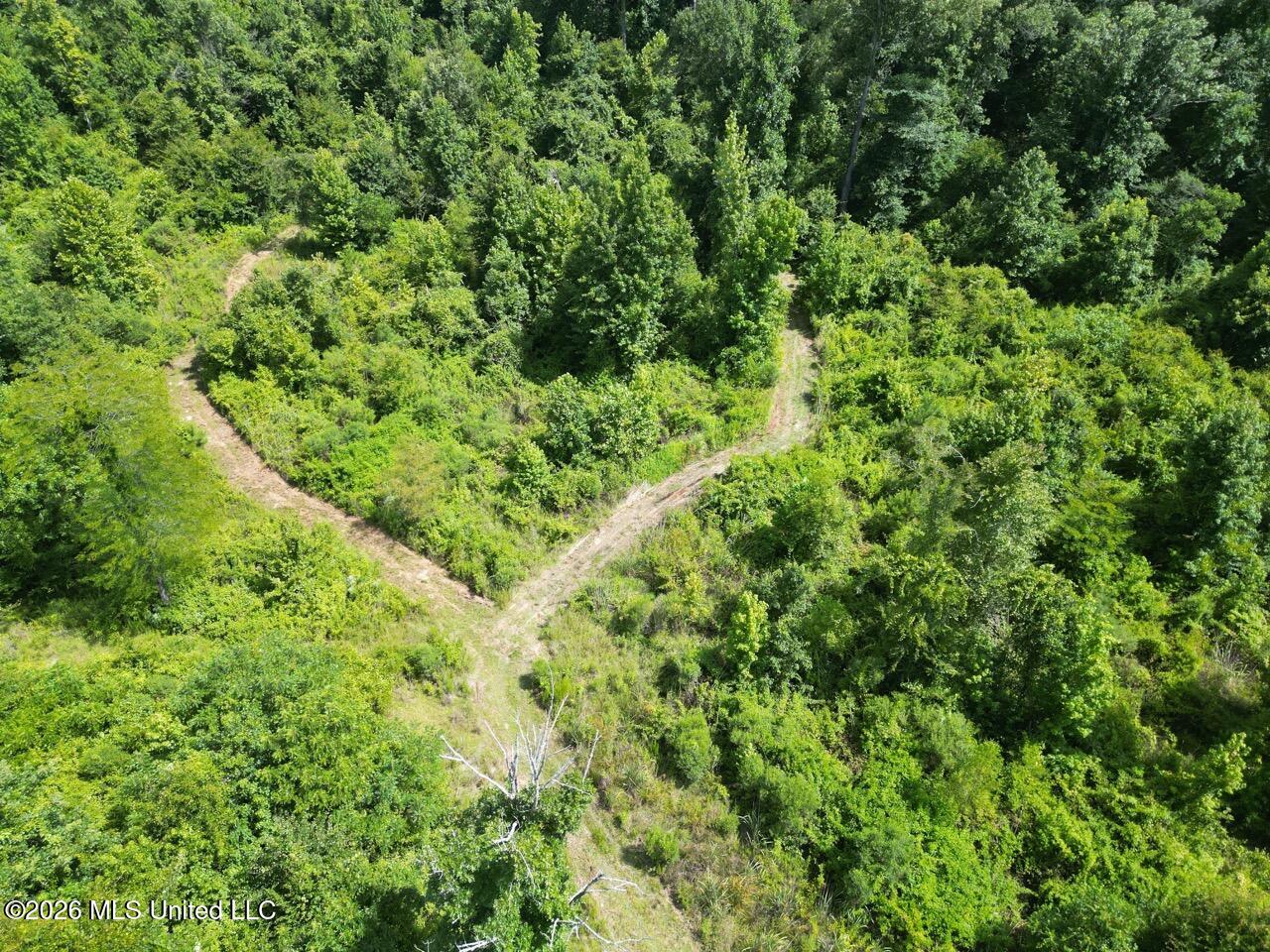 Pam Road Aimwell, LA 71401 - Photo 10 of 38 DJI_0448 Large