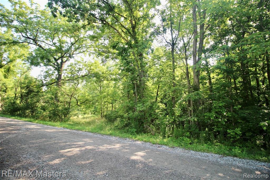 12040 Creek Road Carleton, MI 48117 - Photo 44 of 47