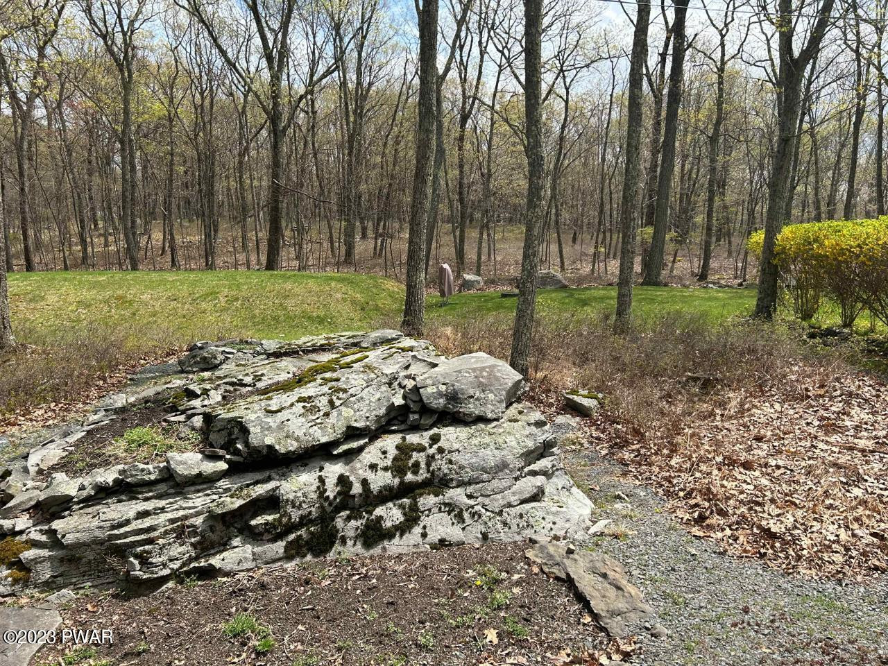 131 Maple Ridge Road Milford, PA 18337 - Photo 52 of 54 a view of a park with tree s