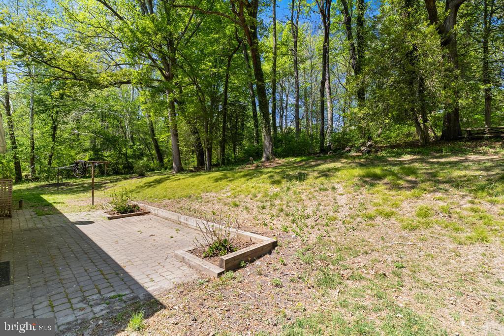10258 Springhill Newtown Road La Plata, MD 20646 - Photo 9 of 26 Back Patio Area