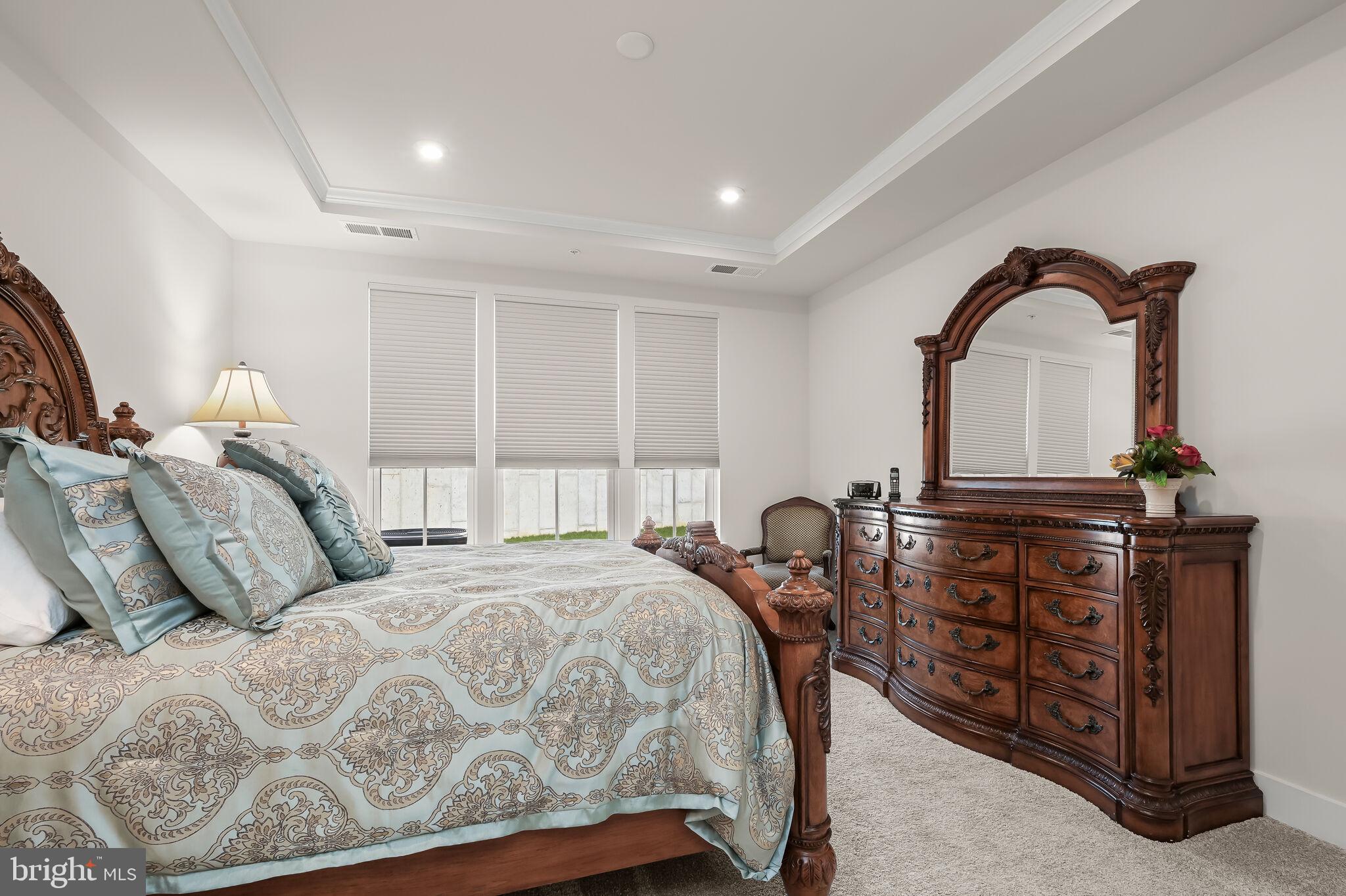 22112 Plover Street Clarksburg, MD 20871 - Photo 17 of 46 Entry level primary bedroom suite