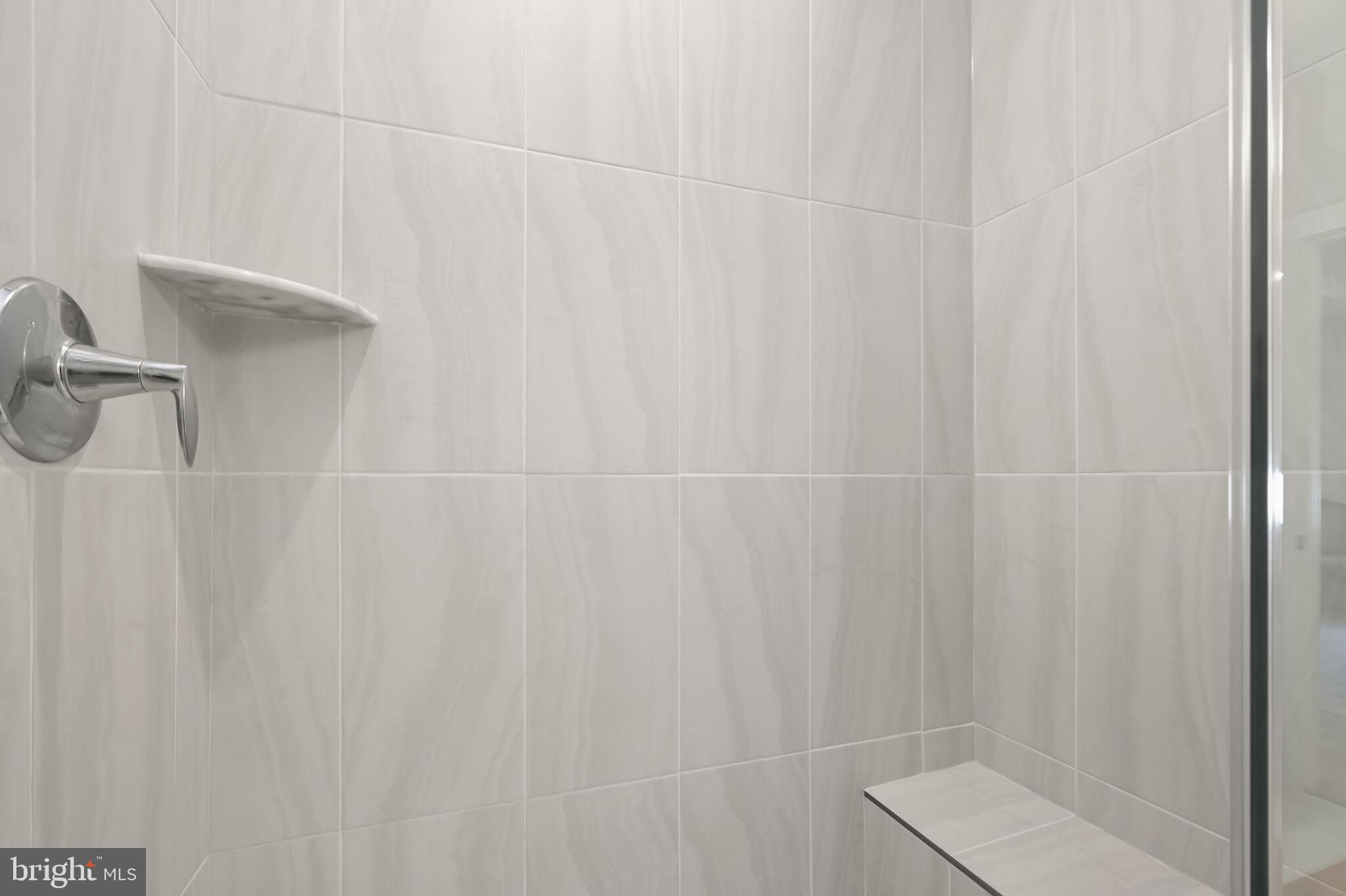22112 Plover Street Clarksburg, MD 20871 - Photo 22 of 46 Frameless shower with built-in seating