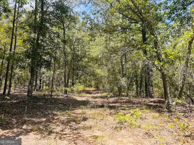 a view of outdoor space with trees