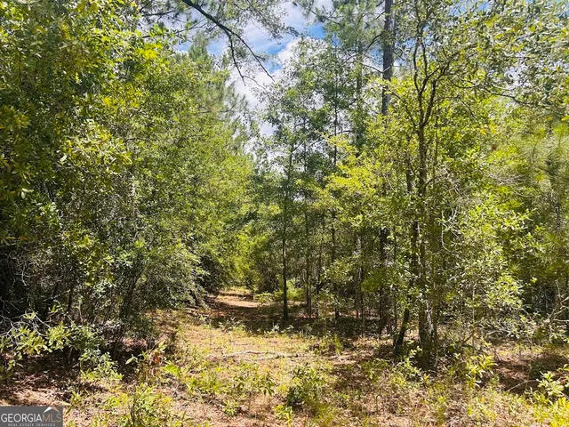 a view of a small yard