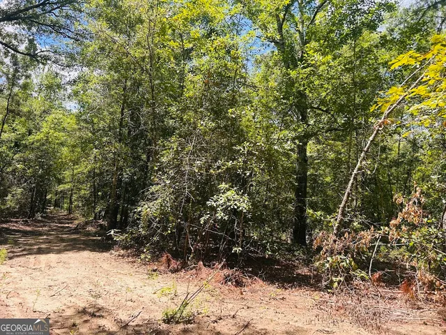 a view of a yard covered in snow