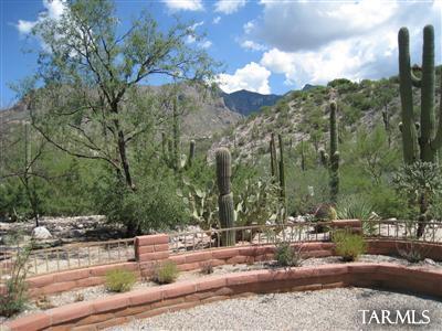 6870 North Cascade Spring Place Tucson, AZ 85718 - Photo 15 of 22