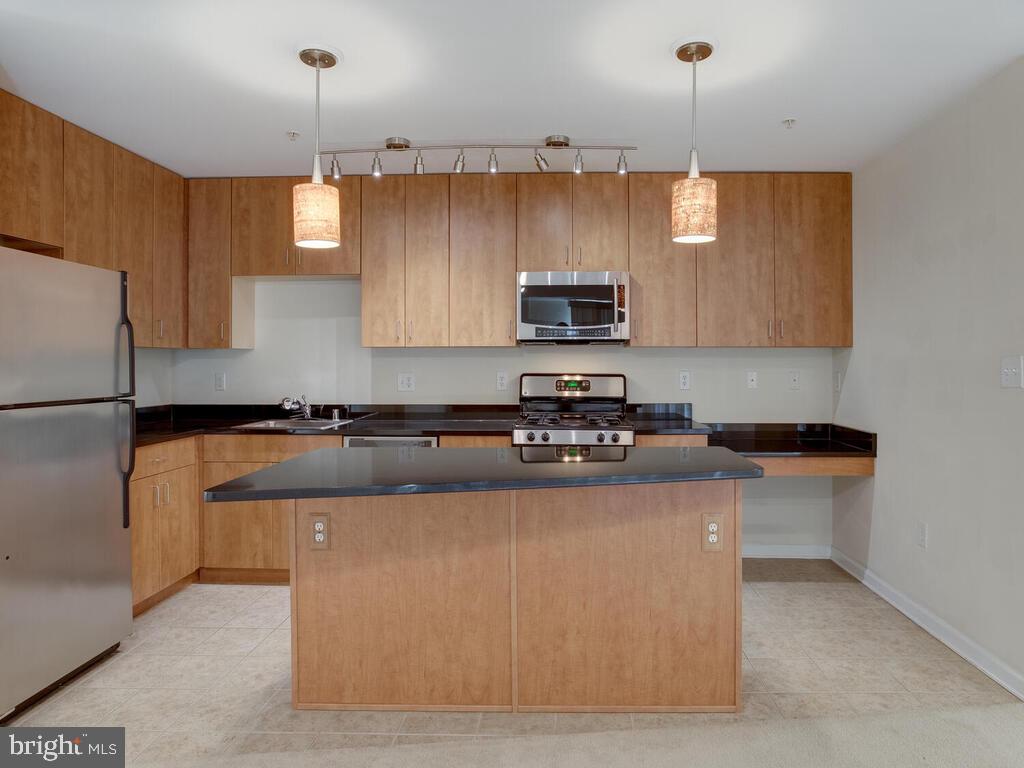 1101 Primrose Road, Unit 201 Annapolis, MD 21403 - Photo 18 of 58