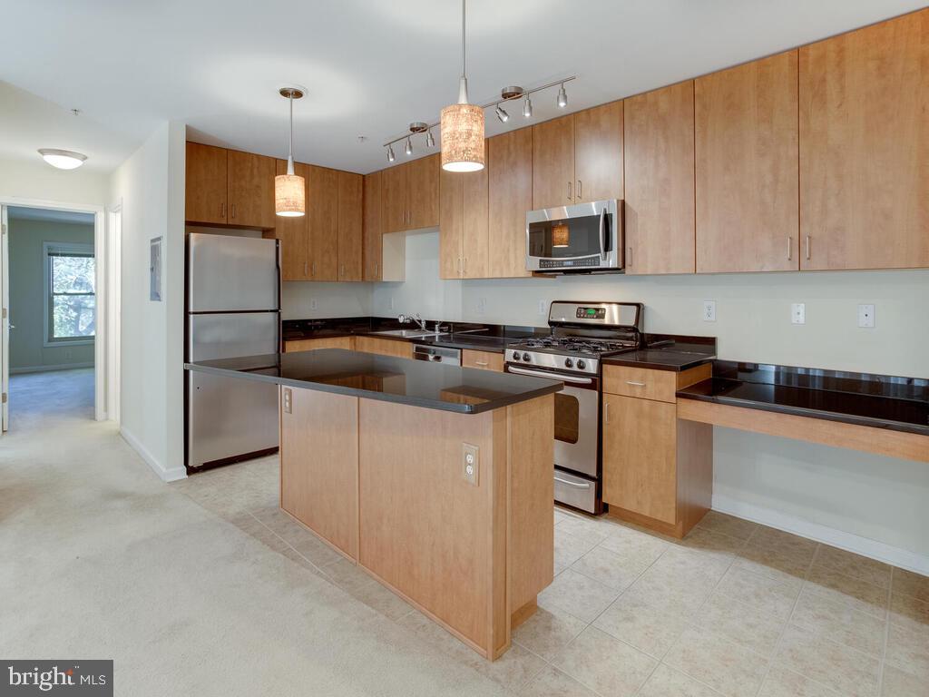 1101 Primrose Road, Unit 201 Annapolis, MD 21403 - Photo 19 of 58