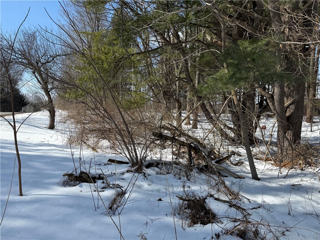 0 Rt-39 Bliss, NY 14024 - Photo 8 of 15