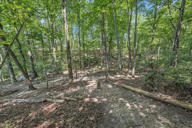 $675,000 | 220 Bear Crawl Road, Unit RB 28, Jasper, TN 37347