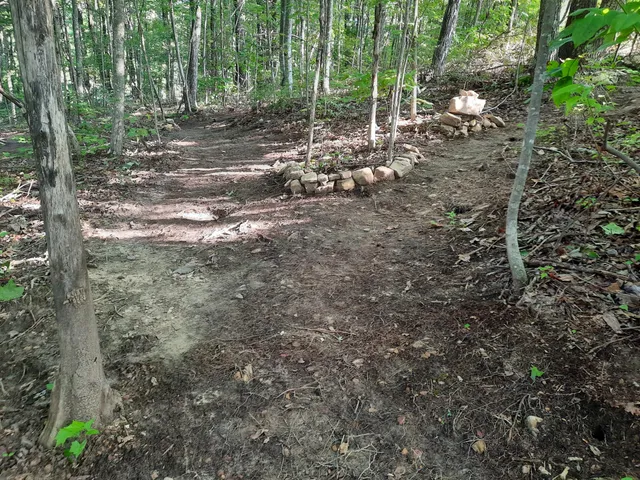 $675,000 | 220 Bear Crawl Road, Unit RB 28, Jasper, TN 37347