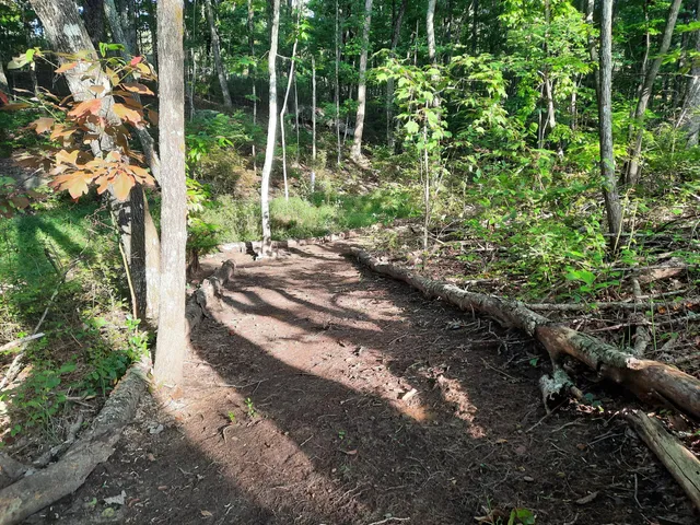 $675,000 | 220 Bear Crawl Road, Unit RB 28, Jasper, TN 37347