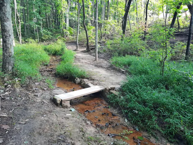 $675,000 | 220 Bear Crawl Road, Unit RB 28, Jasper, TN 37347