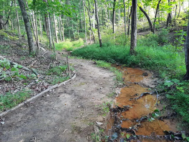 $675,000 | 220 Bear Crawl Road, Unit RB 28, Jasper, TN 37347