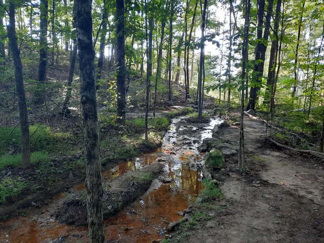 $675,000 | 220 Bear Crawl Road, Unit RB 28, Jasper, TN 37347