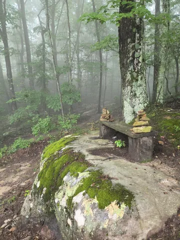 $675,000 | 220 Bear Crawl Road, Unit RB 28, Jasper, TN 37347