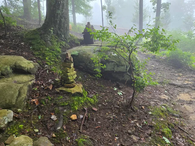 $675,000 | 220 Bear Crawl Road, Unit RB 28, Jasper, TN 37347