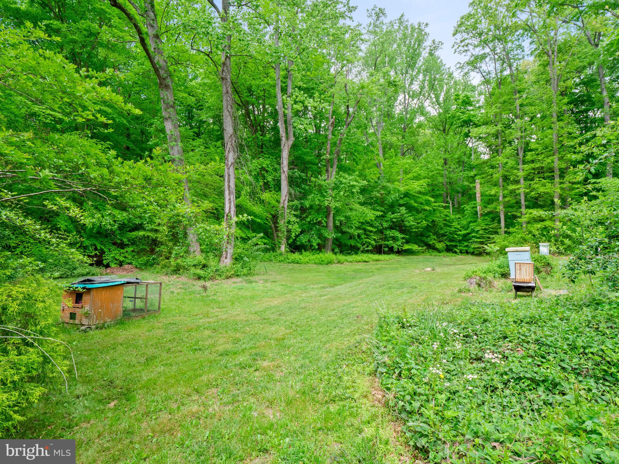 12363 Purcell Road Manassas, VA 20112 - Photo 22 of 26 Gallery Image 22