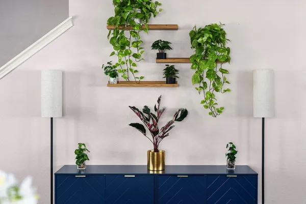 a living room with furniture bookshelf and wooden floor
