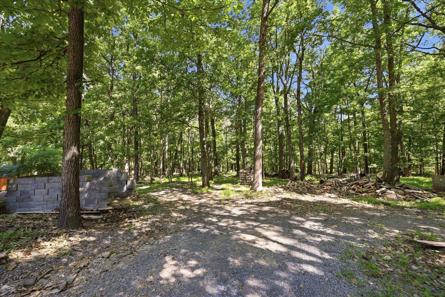 323 South Timber Ridge Road Cross Junction, VA 22625 - Photo 63 of 109 Property is wooded